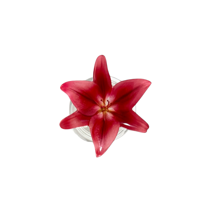 Asiatic Lily Phone Grip