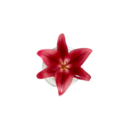 Asiatic Lily Phone Grip