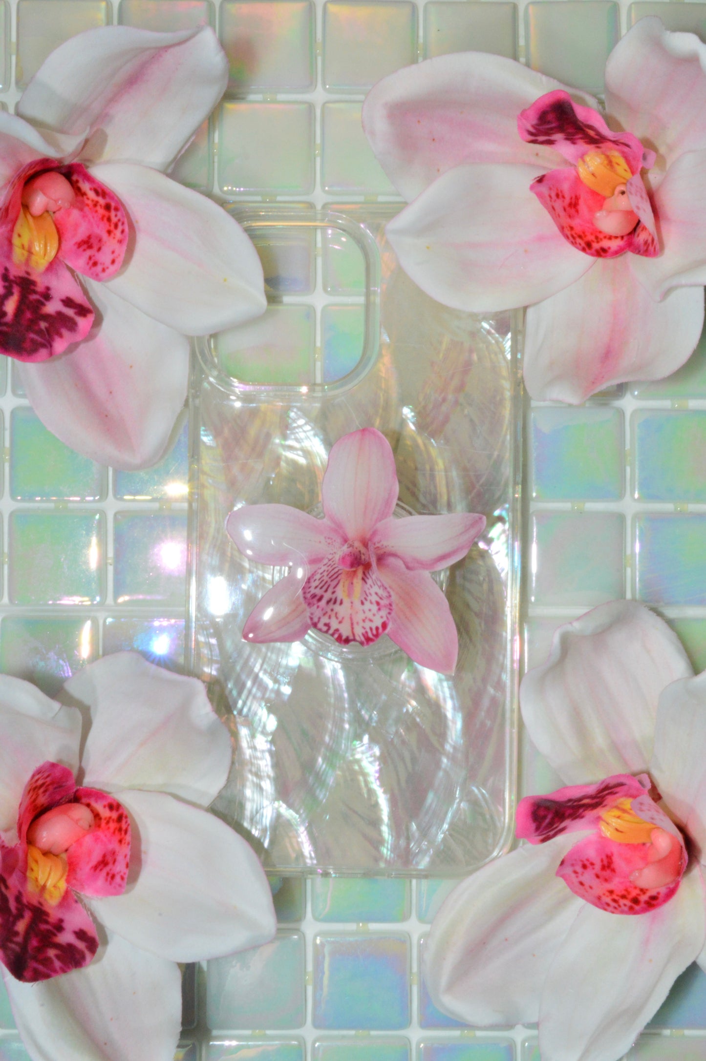 Cymbidium Orchid Phone Grip🌸