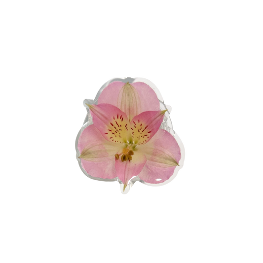 Alstroemeria Duvay Phone Grip