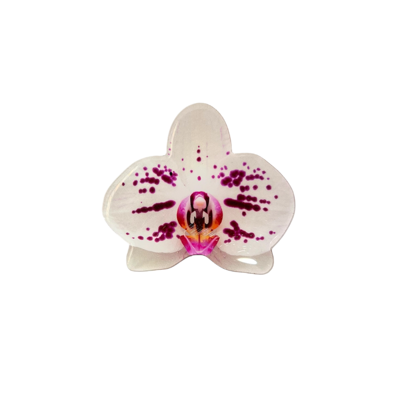 Phalaenopsis Orchid Phone Grip ❀