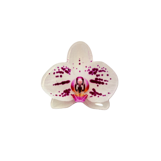 Phalaenopsis Orchid Phone Grip ❀