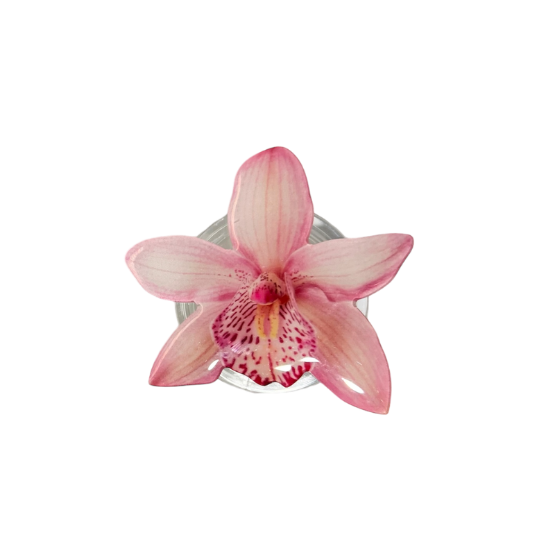 Cymbidium Orchid Phone Grip🌸