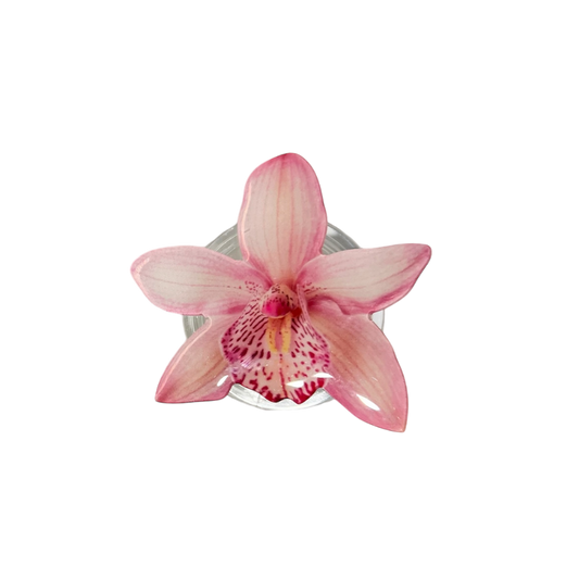 Cymbidium Orchid Phone Grip🌸