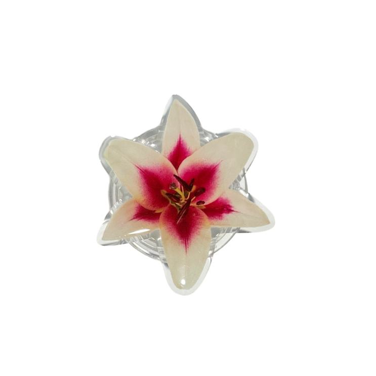 Star-shaped object with a pink and white flower design on a white background