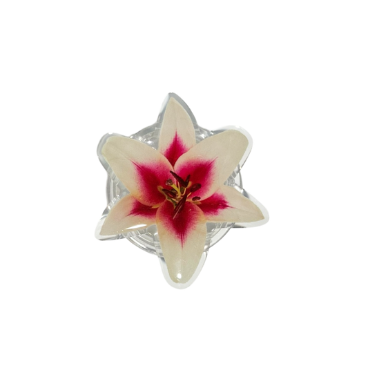 Star-shaped object with a pink and white flower design on a white background